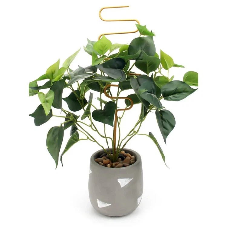 3PCS Metal Trellis Climbing Support