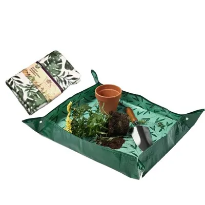 Plantă covoraș